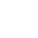 one tree planted